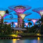 298208384 472173114911902 2556542466217410834 N 298208384 472173114911902 2556542466217410834 N