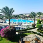 311409700 533089862153560 1627132828199937606 N 311409700 533089862153560 1627132828199937606 N