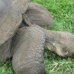 Ecuador2010107 Ecuador2010107