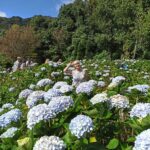 A8610d3f 4643 4c41 8bb3 56dd1fe91d93 A8610d3f 4643 4c41 8bb3 56dd1fe91d93